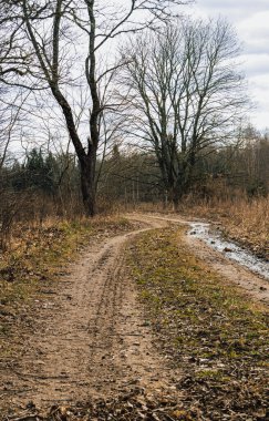 Bu fotoğraf, ilkbaharın başlarında bir orman yolunun sessiz geçidini yakalar. Çimen ve çamurla yumuşatılmış dar patika, son zamanlarda yağan yağmura işaret ederek, olay yerinde usulca eser..