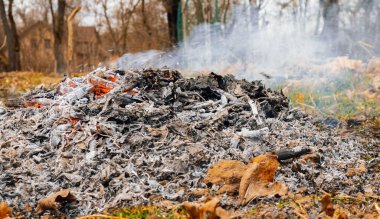 Ön planda, kömürleşmiş yaprak ve dal kalıntılarıyla hala görülebilen, yanan küller yığını yer alıyor..