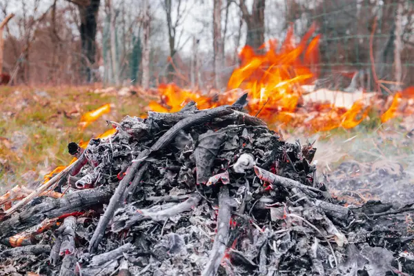 Yanmış dallar ve yapraklar, gri külle kaplanmış, ön planda uzanmış, canlı turuncu alevler zıplarken ve arka planda savrulurken.