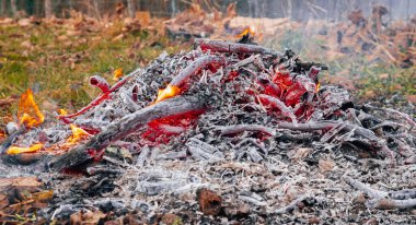 Kamp ateşi sonrasının yakından görüntüsü, kömürleşmiş odun ve küllerin arasında parlayan közler sergileniyor..