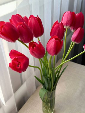 Masadaki cam vazoda taze pembe laleler.