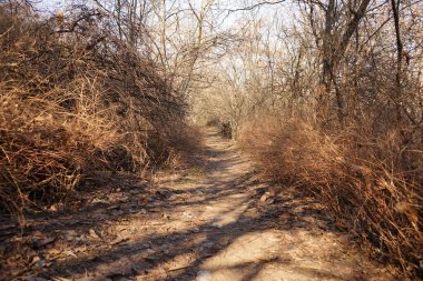 Eski çelik köprünün resmi