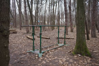 Ormandaki paralel barların fotoğrafı.