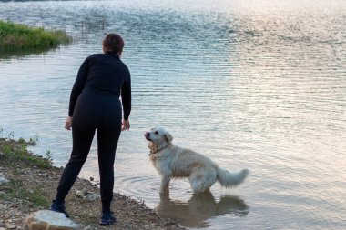Genç dişi ve köpek gölün kenarında oynuyorlar..