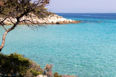 Yazın deniz kıyısında.