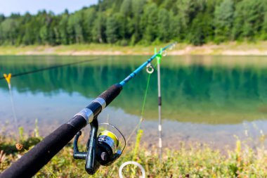 Huzurlu bir olta, arka planda dingin bir göl, berrak mavi gökyüzünü yansıtıyor ve yemyeşil ile çevrili..
