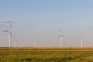 Yeşil buğday tarlasında elektrik üretimi için yel değirmenleri grubu