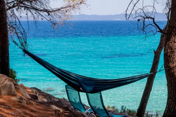 Güzel mavi denizin üzerindeki ormanda hamak ve şezlonglar..