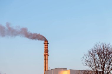 Fabrikada çiğ kömür kuruyor. Termik santrale nakil için kemerler. Duman çevreyi kirletir.