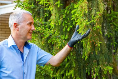 Bahçesindeki ağaçlara bakan olgun bir erkek bahçıvan.