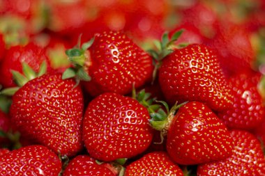 Çiftçi pazarında organik ve taze çilekler. Taze çilek kutularıyla dolu bir market tezgahı.