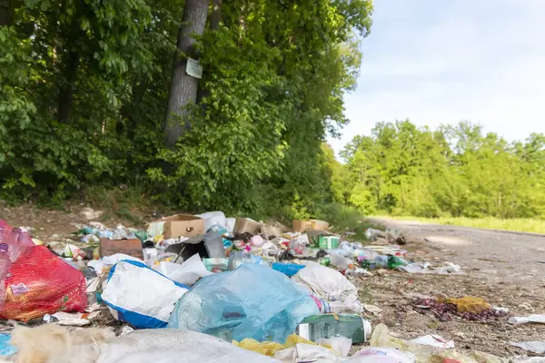 Ormanda çöp yığınları, doğaya rastgele atılanlar. Pis kokulu hurda, plastik torba ve şişeler, doğanın kirli yeşil çimlerinde çöpler. Ormanın insan kirliliği kavramı