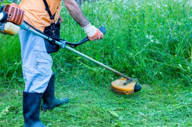 Koruyucu giysiler içinde olgun bir adam ve makasla eldivenler. Uzun çimleri biçmek ve yabani otları biçmek. Seçmeli olarak odaklan
