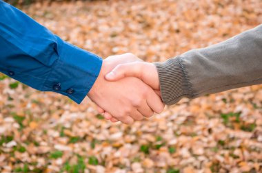 İki genç arkadaş parkta el sıkışıyor. Dostluk ve başarı kavramı.