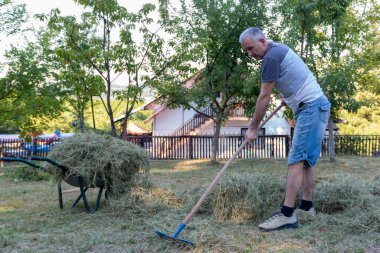 Bahçenin bahçesini tırmıklayan olgun bir adam. Bahçedeki çimlerle ilgilenen olgun bir adam. Tarım, bahçe ekipmanları konsepti