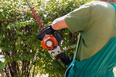 Profesyonel bahçıvan, çalı biçme makinesiyle çalıları buduyor. Bahçe işçisi çalı biçer, çim biçer. Park bakımı