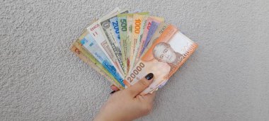 hand holding a lot of banknotes and a fan of different denominations