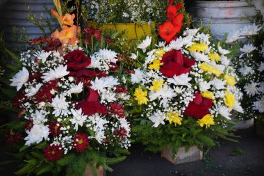 Çiçeklerin değişik çeşitleri.