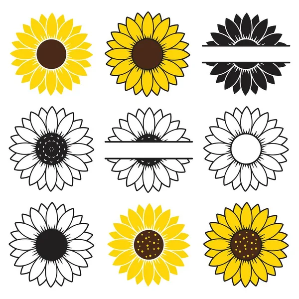 vector sunflower icons isolated on white background. yellow spring and summer flowers. sunflower clip art drawing with copy space