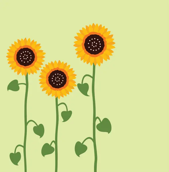 Vector Sunflower Summer Background — Stock Vector