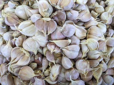 Pazarda taze sarımsak, yiyecek geçmişi. Sarımsak yığınları keskin bir kokuya sahiptir ve yemek pişirme baharatlarından biridir.