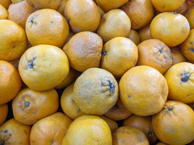 Taze turuncu meyve koleksiyonu. Renkli ve pazarda satılmaya hazır.