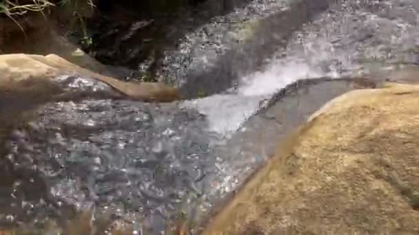 公園の真ん中に淡水で流れる小さな川 — ストック動画