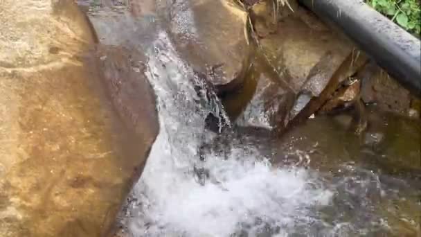 Piccolo Fiume Scorre Con Acqua Dolce Centro Del Parco — Video Stock