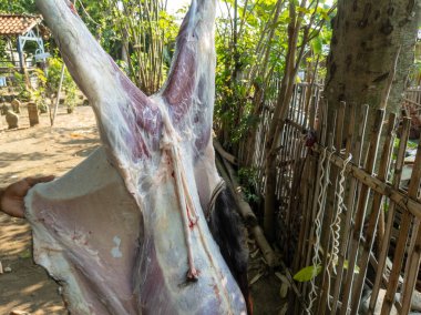 Kurban bayramı kutlaması. Müslümanlar, Kurban Bayramı boyunca topluma dağıtılacak helal kesilmiş eti hazırlamak için birbirlerine yardım ederler. Kurban Bayramı ya da Kurban Bayramı.