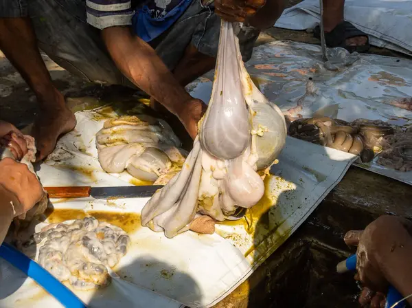 stock image Eid al-Adha celebration. Muslims help each other prepare halal slaughtered meat to be distributed to the community during Eid al-Adha. Feast of Sacrifice or Sacrifice.