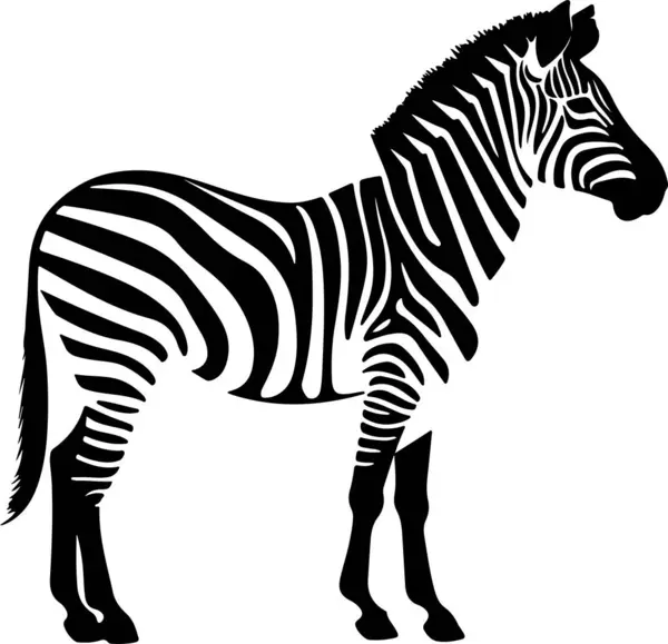 Stock vector Zebra Silhouette Vector Illustration White Background