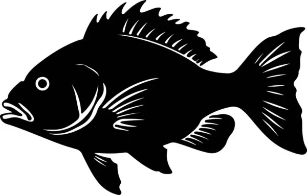 stock vector Barramundi Fish Silhouette Vector Illustration White Backgroun