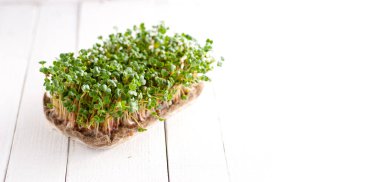 Organik mikroyeşiller, sağlıklı yemek, fidanlar, vitamin detoksu, yaşam tarzı için beyaz bir arka plan, afiş, yazı için yer