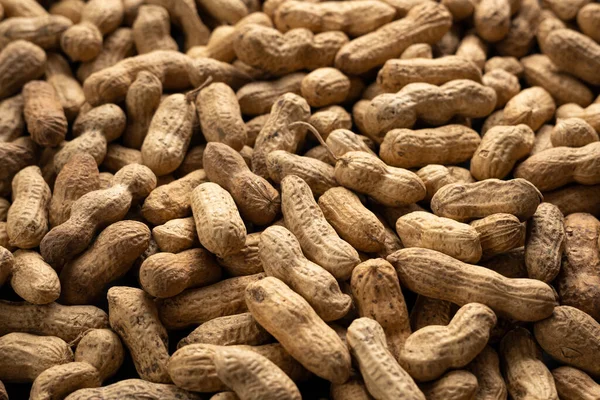 stock image Background of dry unshelled peanuts, macro