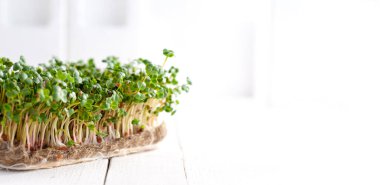 Organik mikroyeşiller, sağlıklı yemek, fidanlar, vitamin detoksu, yaşam tarzı için beyaz bir arka plan, afiş, yazı için yer