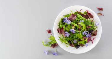 Bebek ıspanağıyla salatayı karıştır, mizuna salatası, boğa kanı filizi, açık gri arka planda yenilebilir çiçekler ve zeytinler, üst manzara, metin için boş alan