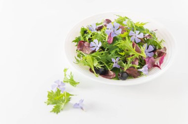 Bebek ıspanağıyla salatayı karıştır, mizuna salatası, boğa kanı filizi, yenilebilir çiçekler ve beyaz tabakta zeytinleri, en ön manzara