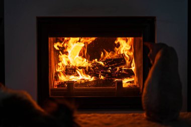 Flames dance in the fireplace, creating a warm and inviting atmosphere. Soft shadows and flickering light enhance the cozy feeling in the living room.