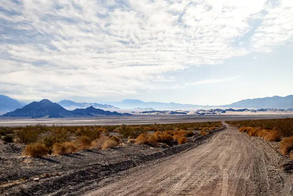 Zzyzx yolu güneye, Mojave Ulusal Rezerv California 'ya gidiyor.