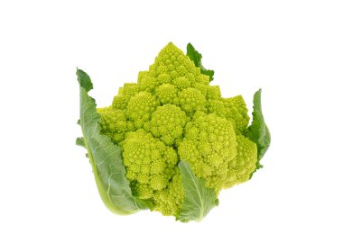 Romanesco brokoli beyaz arka planda izole edilmiş, Brassica oleracea