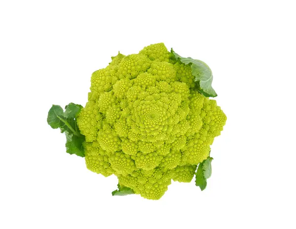 Romanesco brokoli beyaz arka planda izole edilmiş, Brassica oleracea