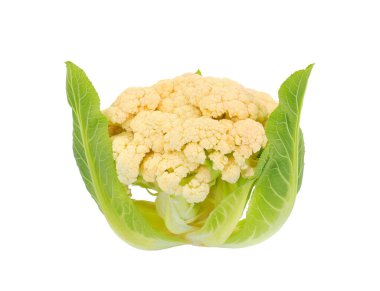 Amandine cauliflower isolated on white background, Brassica oleracea clipart