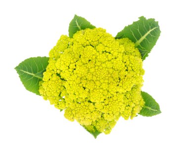 Gilverde karnabahar beyaz arka planda izole, Brassica oleracea