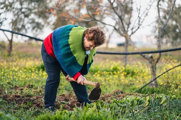 美丽的乡村老年妇女画像 手拿锄头在花园里干活 照顾植物 生活方式 — 图库照片