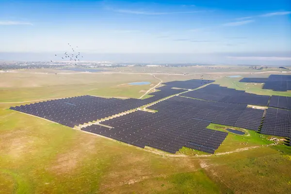 wide angle aerial photo of solar photovoltaic power plant under blue sky on bright sunny day with flock of birds