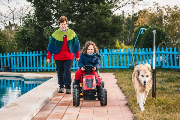 Küçük mutlu çocuk oyuncak traktör süren büyükannesi ve köpeğiyle oynuyor.