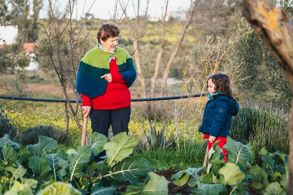 Nonna Che Insegna Suo Nipote Crescere Raccogliere Giardino — Foto Stock