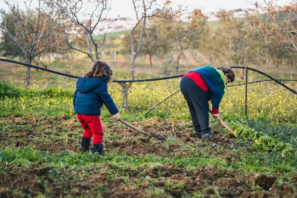 小男孩帮助他的祖母做园艺工作 学习用锄头种植植物 — 图库照片