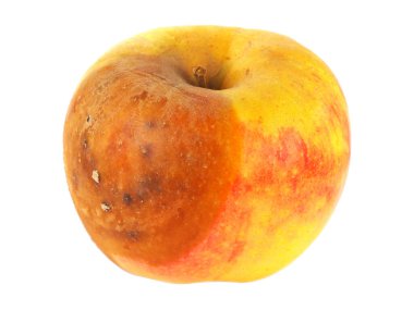 Çürük elma beyaz arka planda izole edilmiş.