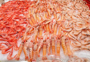 Markette taze ıstakoz ve karides.